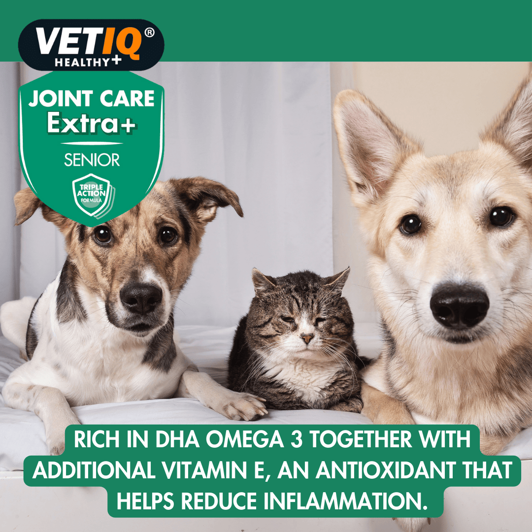 Vetiq Healthy + Joint Care Extra Senior Cats &amp; Dogs 45 Tablets