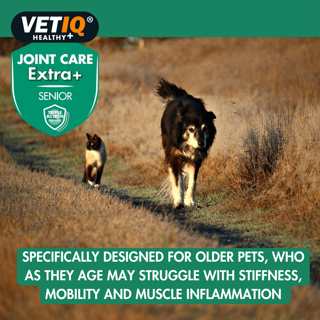 Vetiq Healthy + Joint Care Extra Senior Cats &amp; Dogs 45 Tablets