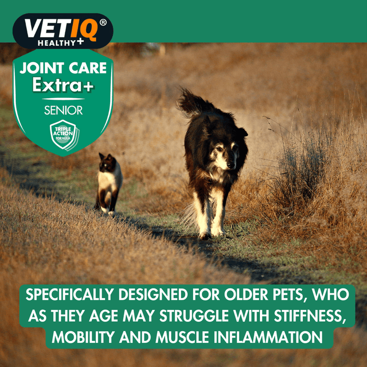 Vetiq Healthy + Joint Care Extra Senior Cats &amp; Dogs 45 Tablets
