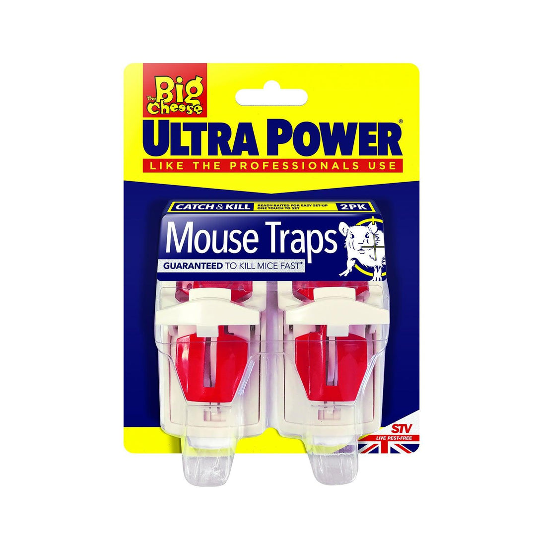 The Big Cheese Ultra Power Mouse Trap Twin Pack - Ormskirk Pets