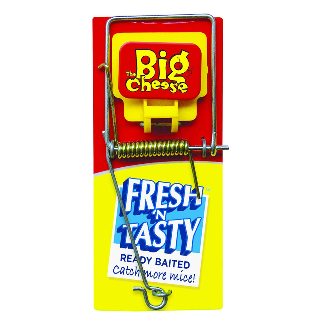 The Big Cheese Fresh N Tasty Baited Mouse Trap 30 Pack - Ormskirk Pets