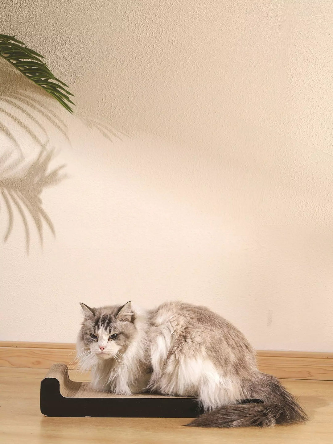M-PETS My Scratchy Montana Cat Cardboard Scratchers