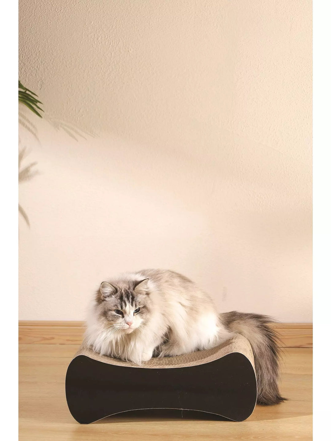 M-PETS My Scratchy Cat Cardboard Scratchers Columbia
