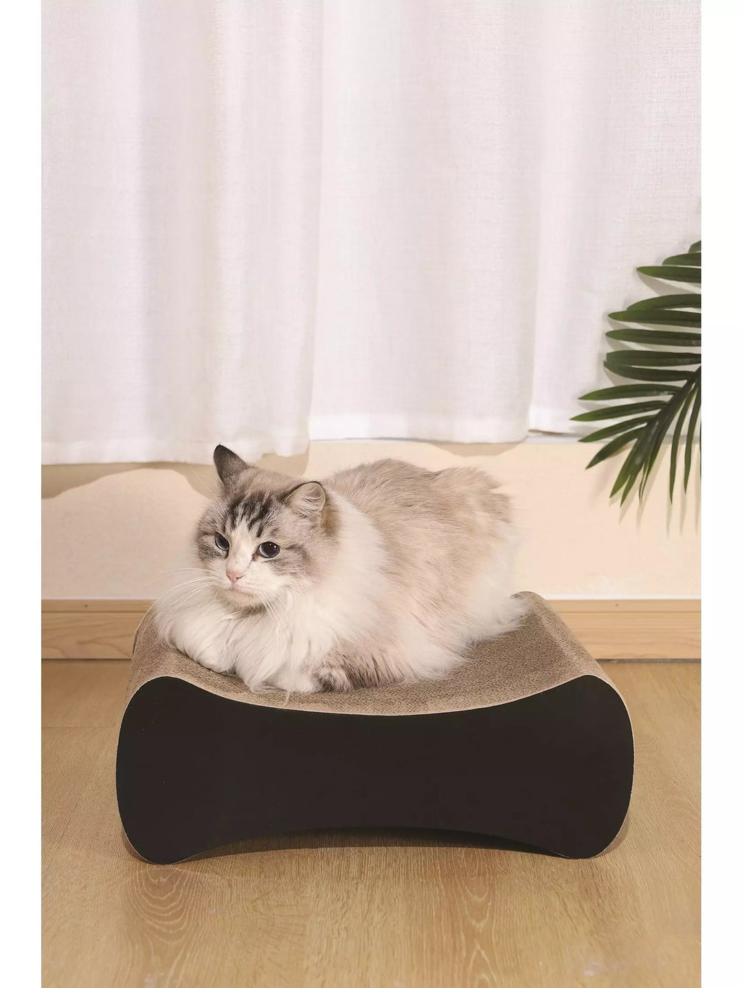 M-PETS My Scratchy Cat Cardboard Scratchers Columbia