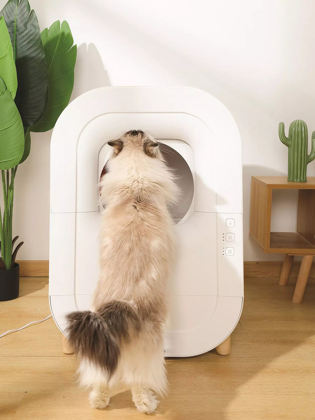 M-PETS Smarto M600 Automatic Cat Litter Box With Wifi