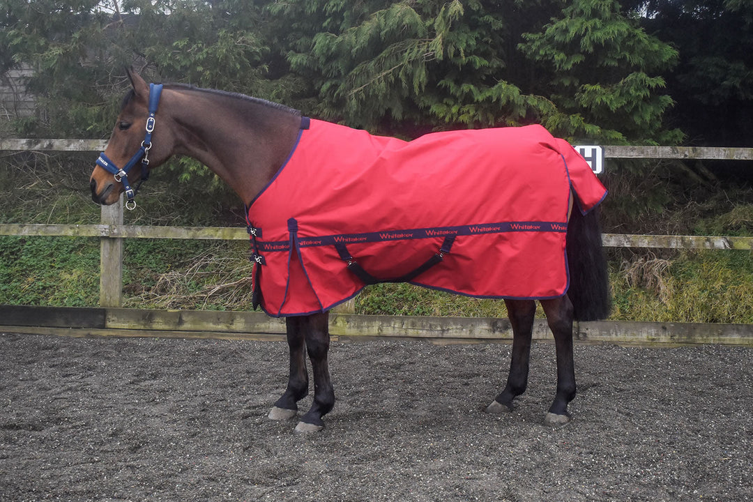 Whitaker Kirby Turnout Rug 100Gm Red 6' 3"