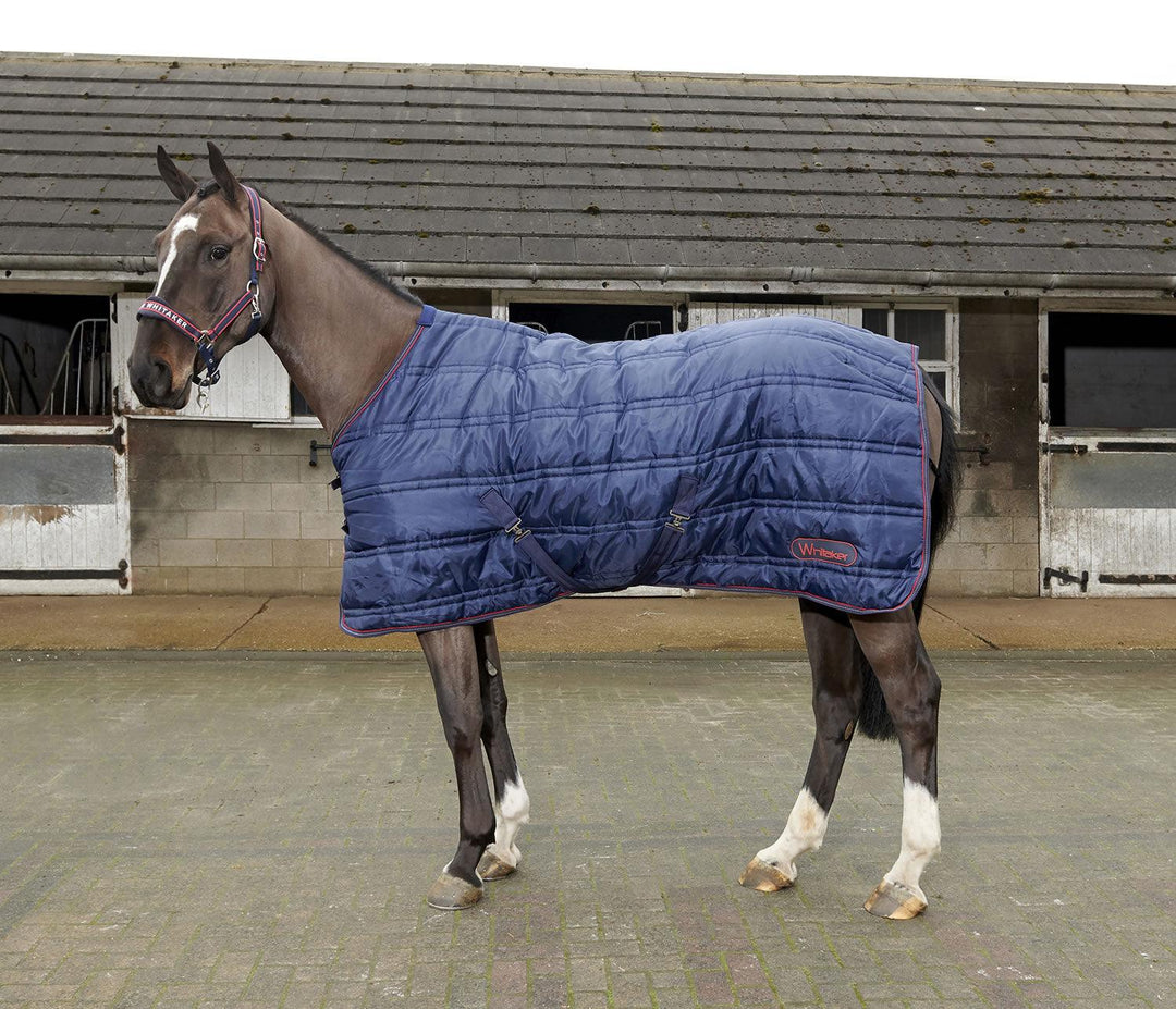 Whitaker Rastrick Stable Rug 200Gm Navy/Reflective 4' 9"