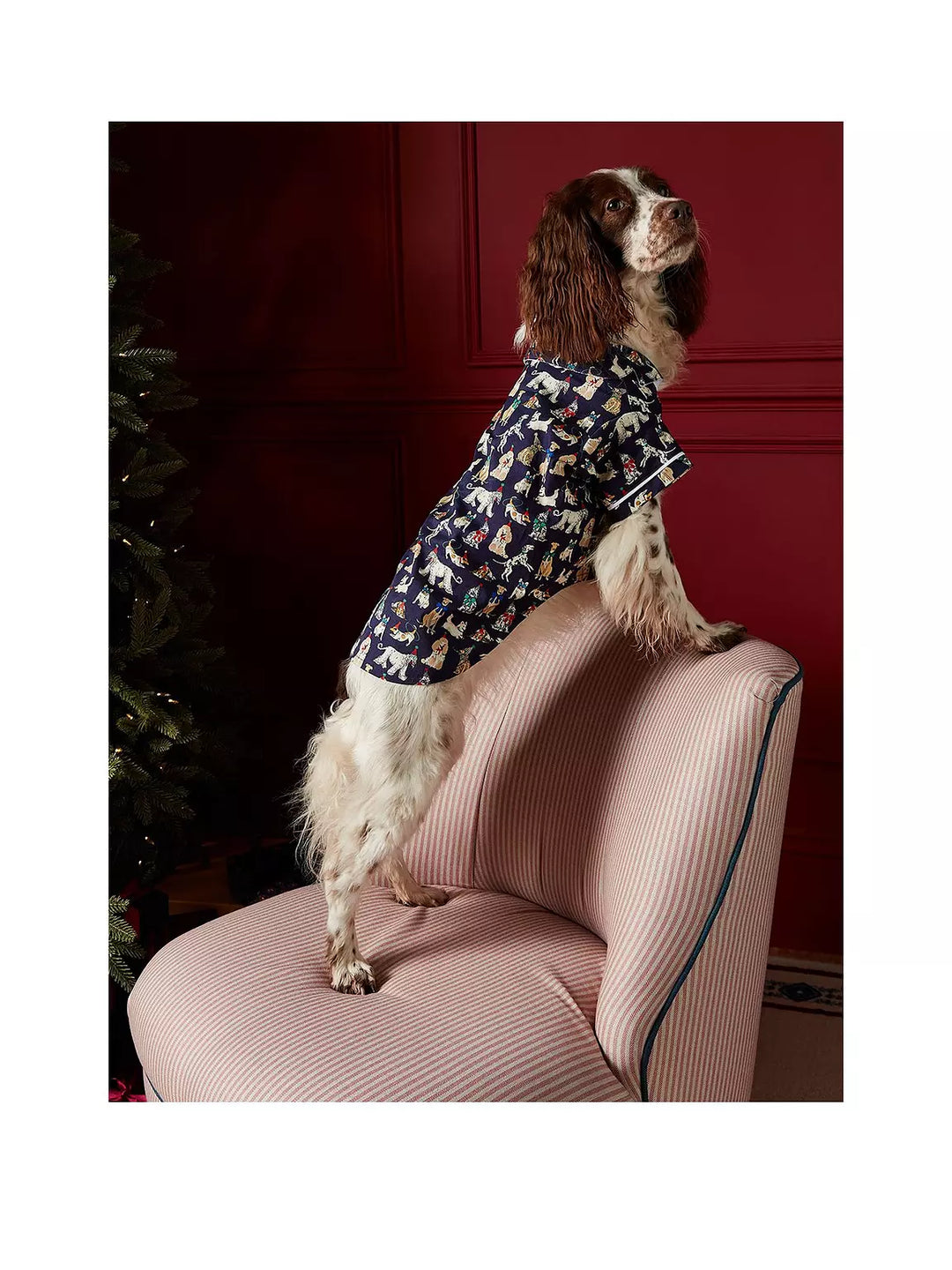 Rosewood Joules - Festive Dog Pyjamas