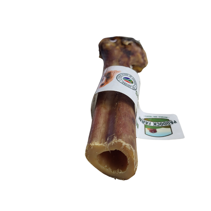 Paddock Farm Ostrich Metatarsus Bone Single