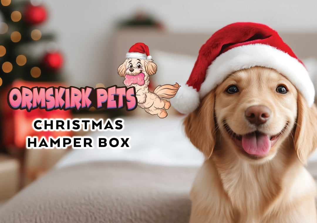 Doggy Christmas Hamper Box Budget