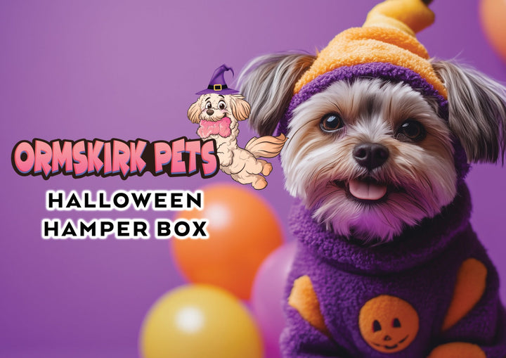 Doggy Halloween Hamper Box Limited Availability