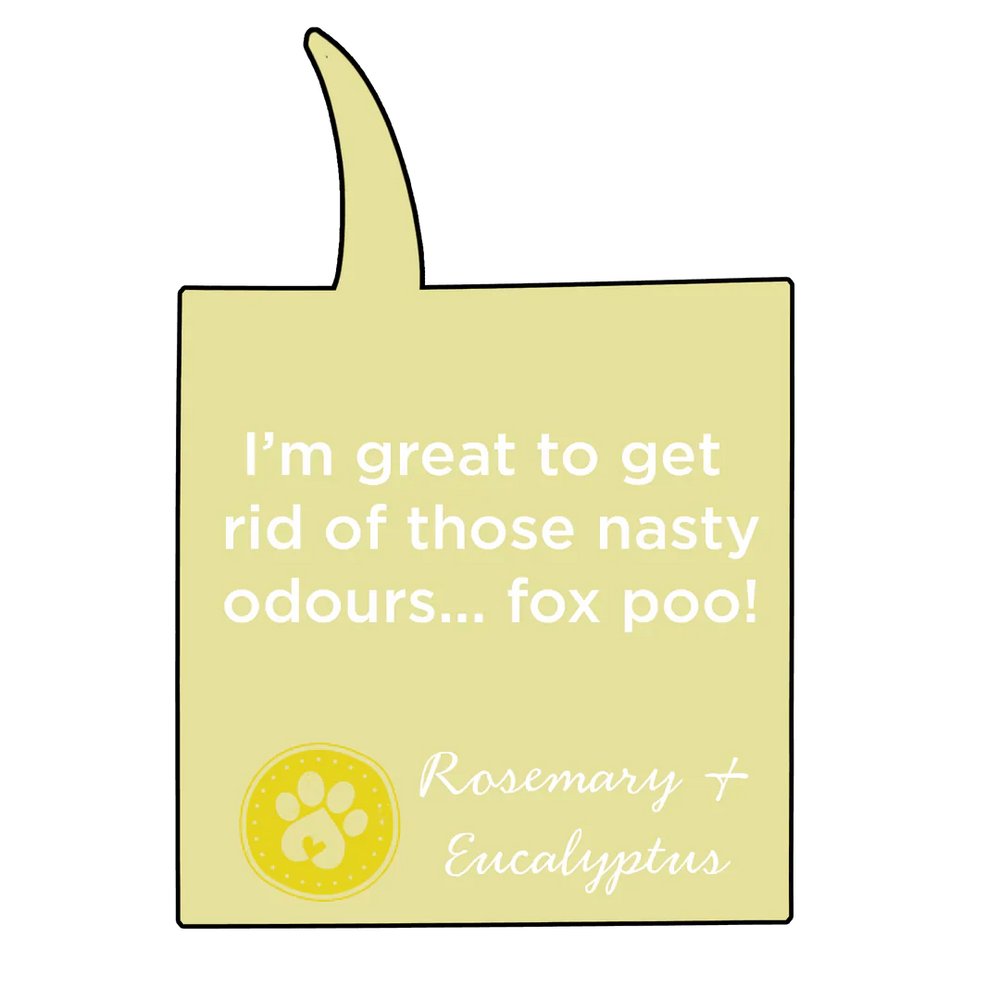 For All Dogkind Dirty Coat Natural Shampoo 5 Litre - Ormskirk Pets