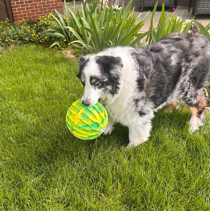 KONG Flexball Sport Footbal XL