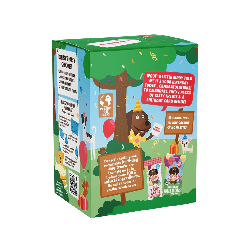 Denzels Birthday Gift Box For Dogs 110G