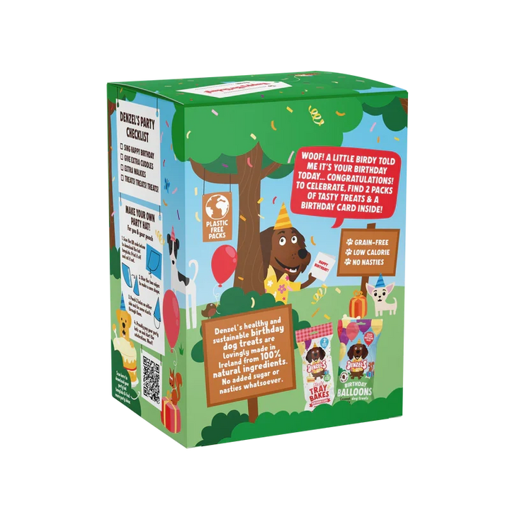 Denzels Birthday Gift Box For Dogs 110G