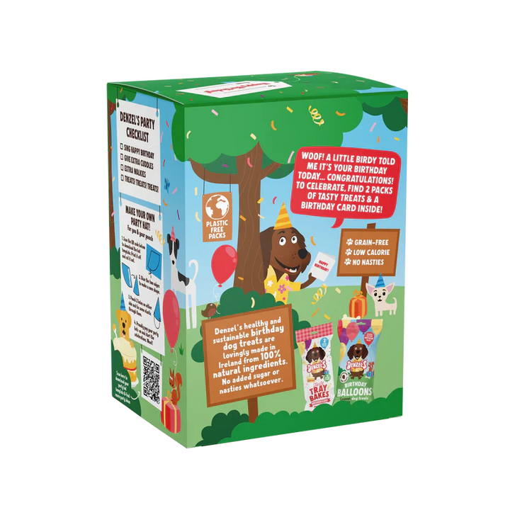Denzels Birthday Gift Box For Dogs 110G