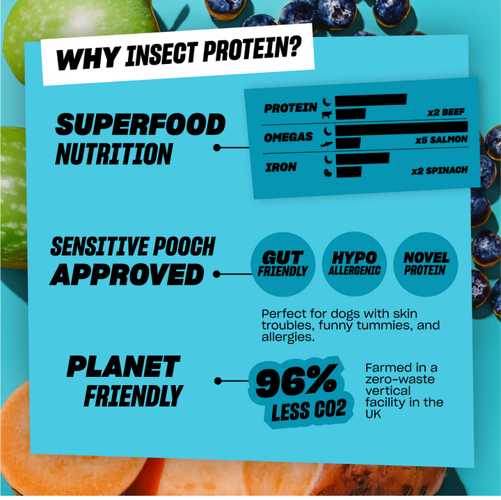 Grub Club All-Day Buffet Dry Dog Food Insect Protein