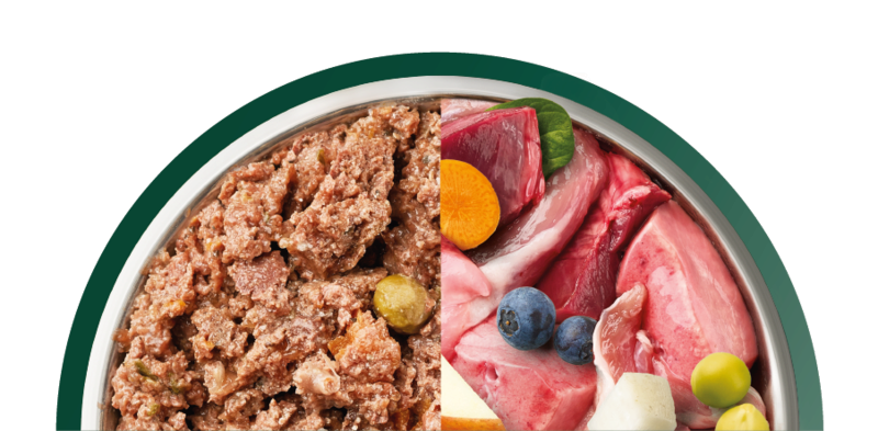 Natures Menu Country Hunter Wild Boar with Superfoods 600g x 6