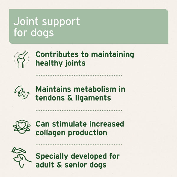 Aniforte Agility Vet Joint Care Tablets for Dogs