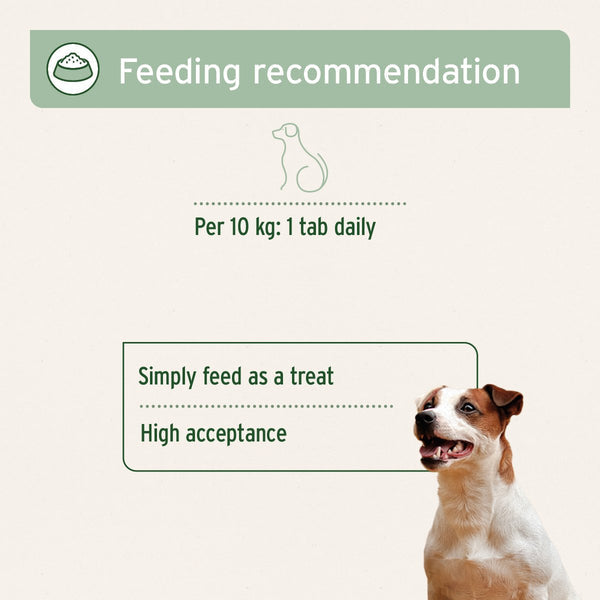 Aniforte Agility Vet Joint Care Tablets for Dogs