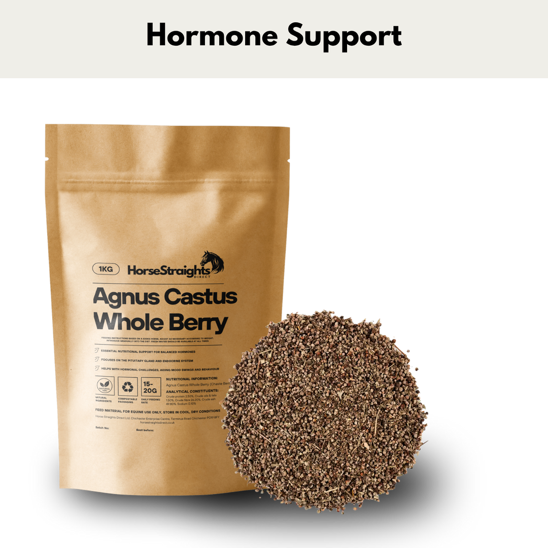 Horse Straights Direct Agnus Castus Whole Berry 1kg