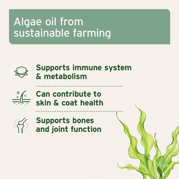 Aniforte Algae Oil 50ml