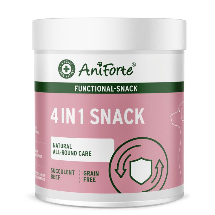 Aniforte 4in1 Snacks