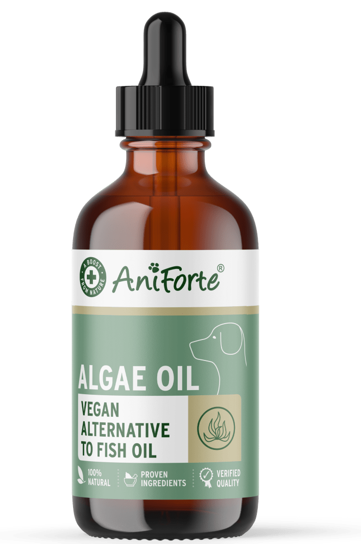 Aniforte Algae Oil 50ml