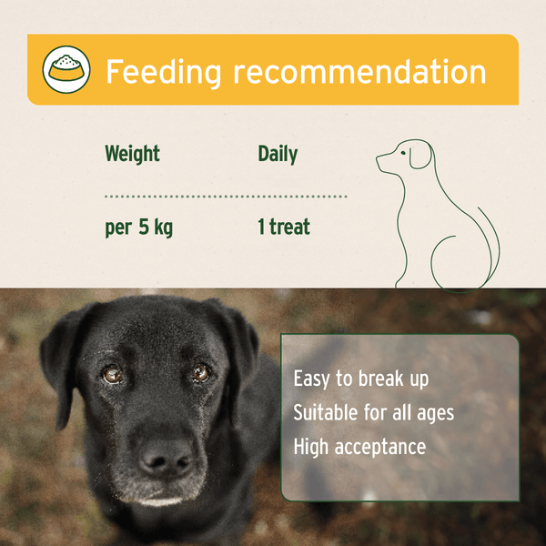 Aniforte Anti Grass and Poop Snack