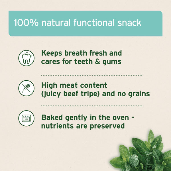 Aniforte Dental Snack