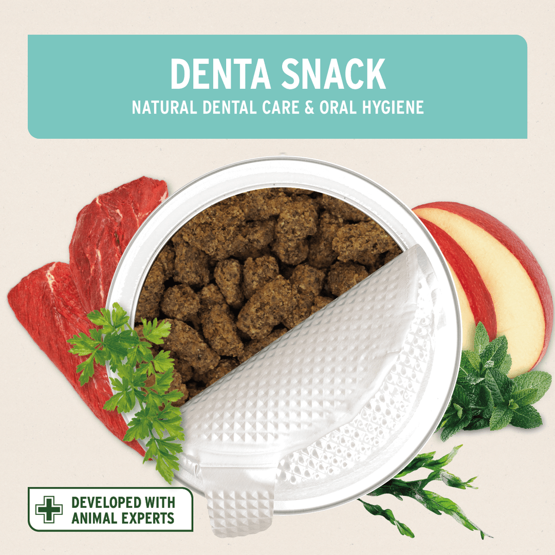 Aniforte Dental Snack