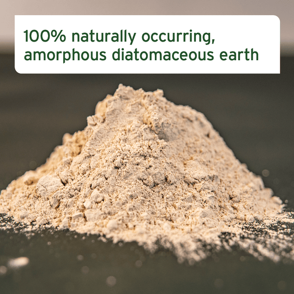 Aniforte Diatomaceous Earth Powder 50g