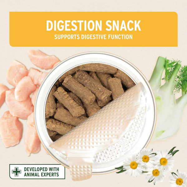 Aniforte Digestion Snack