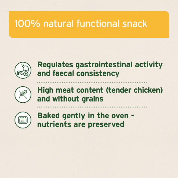 Aniforte Digestion Snack