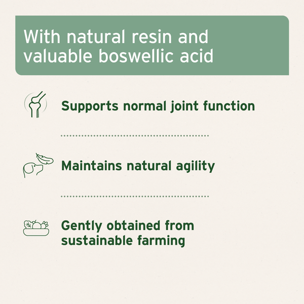 Aniforte Frankincense (Boswellia) Capsules 100pcs