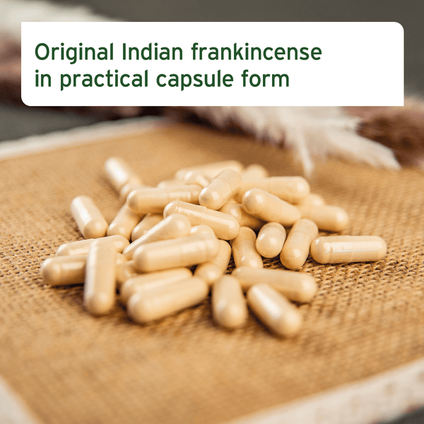 Aniforte Frankincense (Boswellia) Capsules 100pcs