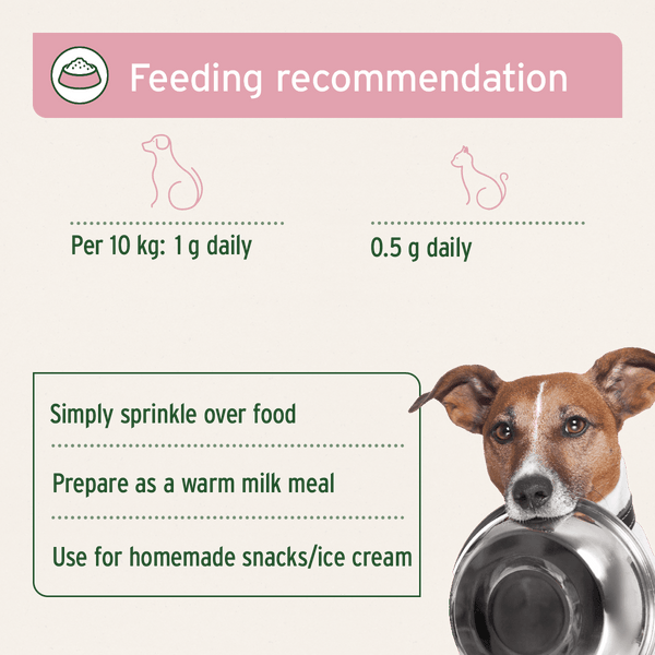 Aniforte Goat Milk Powder 500g