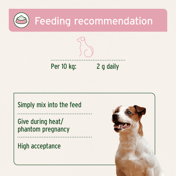 Aniforte Hormone Balance 80g - For Female Dogs