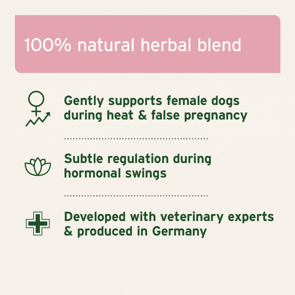Aniforte Hormone Balance 80g - For Female Dogs
