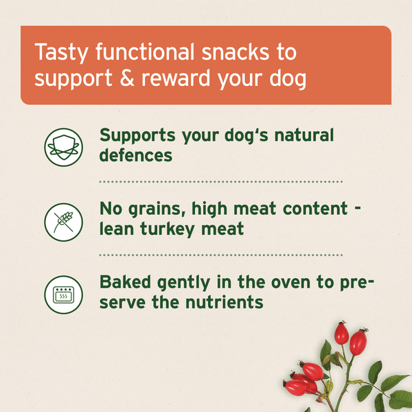 Aniforte Immunity Snack