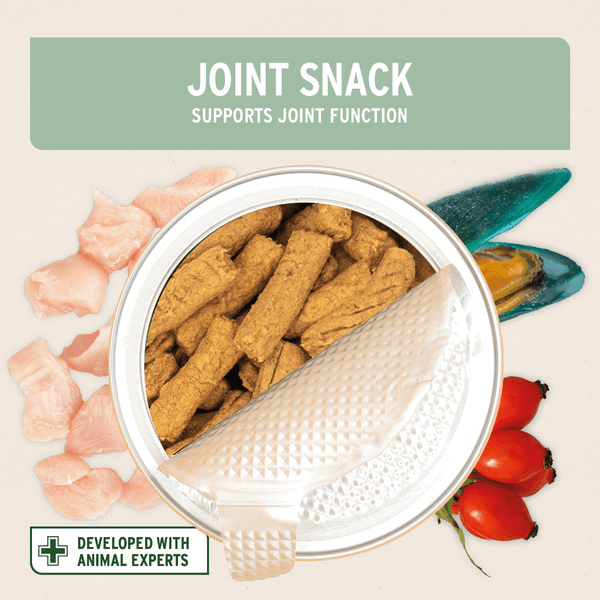 Aniforte Joint Snack