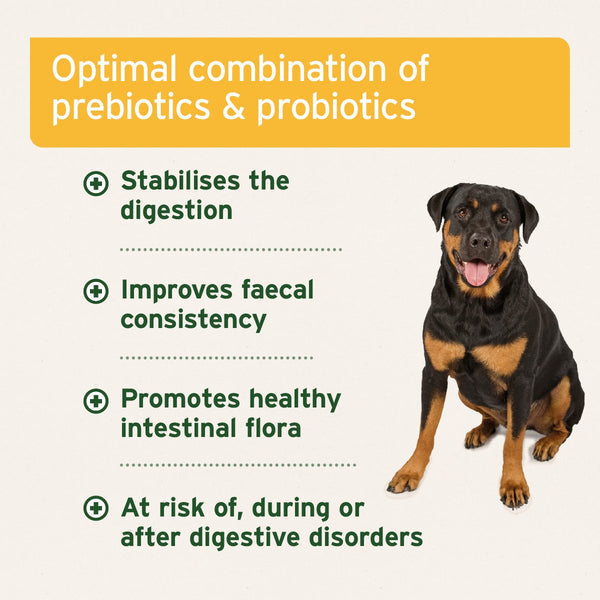 Aniforte Probiotic Tabs - 90 caps