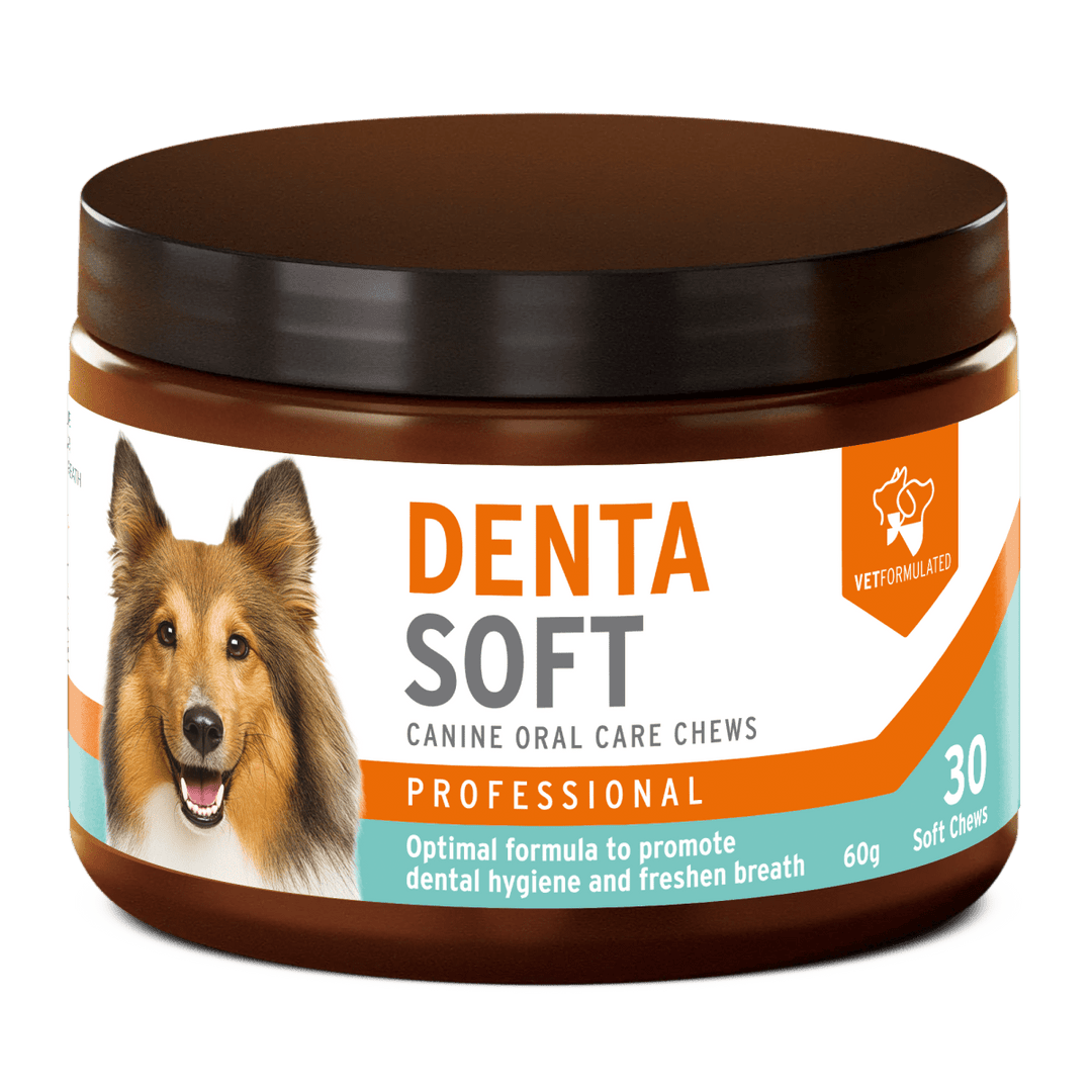 Aniforte Denta Soft 60g