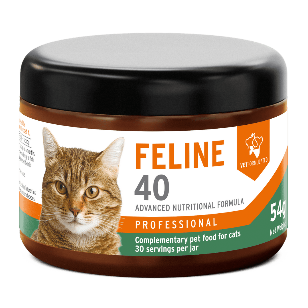 Aniforte Feline 40 45g