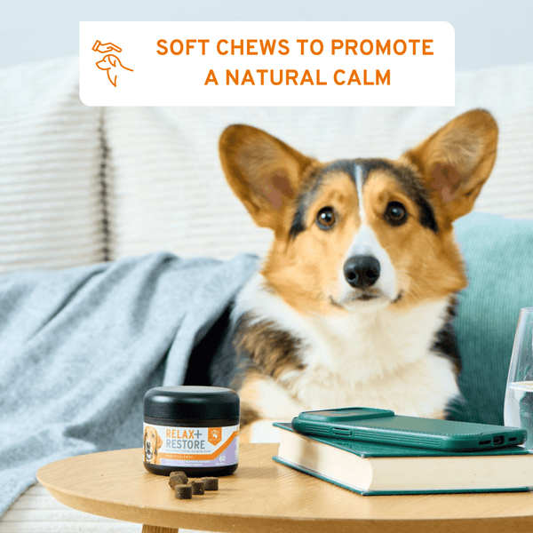 Aniforte Relax + Restore For Dogs