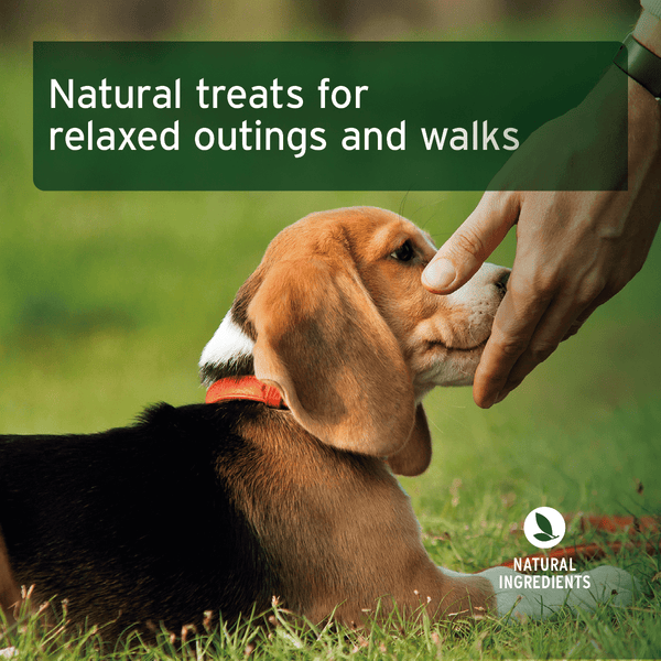 Aniforte Relax Snack