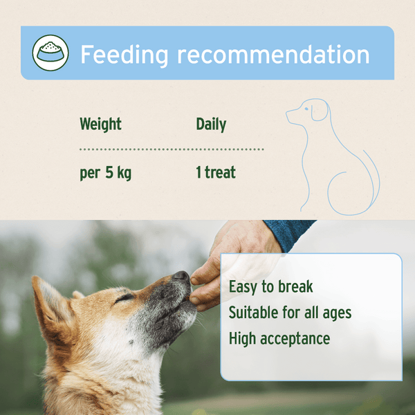 Aniforte Skin and Coat Snack