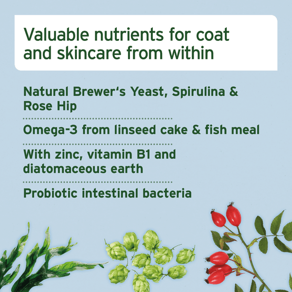 Aniforte Skin and Coat Snack
