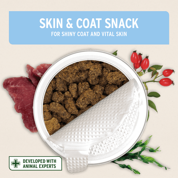 Aniforte Skin and Coat Snack