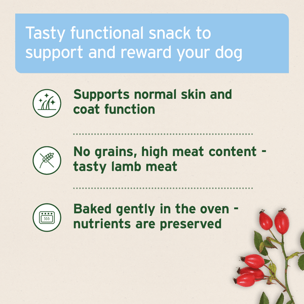 Aniforte Skin and Coat Snack